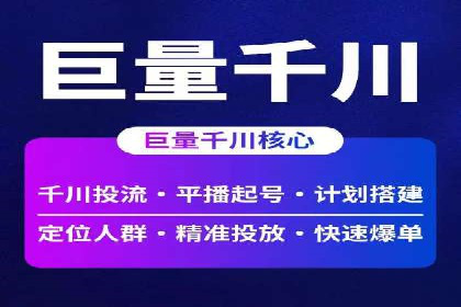 竞价SEM托管服务：成功案例揭秘
